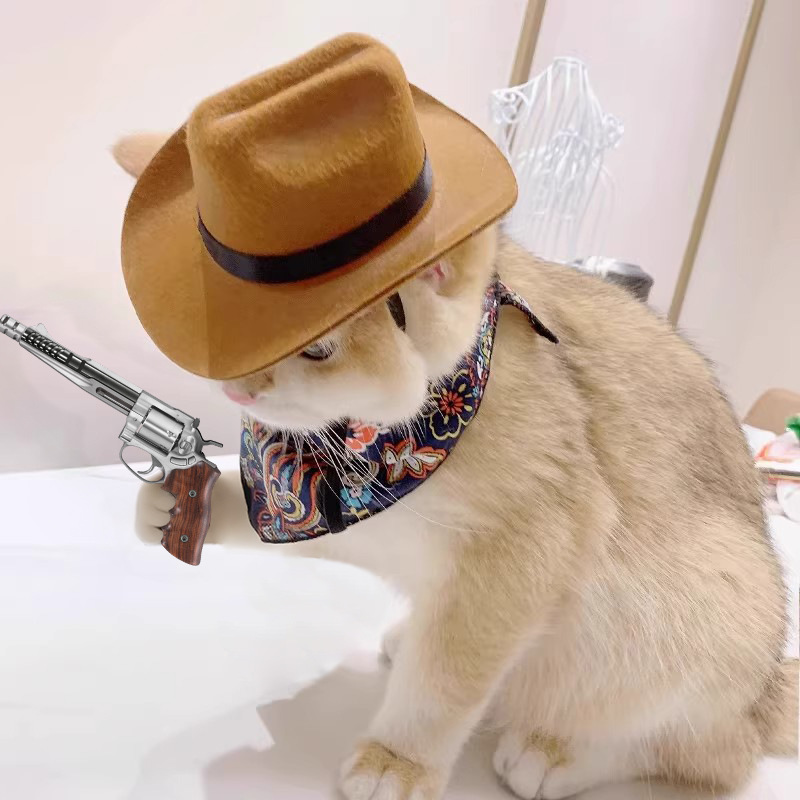 Cowboy Hat Straw - ﻿ Koński kapelusz kowbojski Akcesoria na